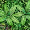 thumbnail image 2 of 9 Pieces Artificial Mat Greenery Wall Hedge Grass Fence Foliage Panel Decoration, 2 of 6