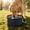 Dark Blue, variant on Portable Dog Bowls Foldable Travel Dish for Hiking Camping, No Spill Collapsible Puppy Water Bowl for Small and Large Dogs, Outdoor Pet Accessories