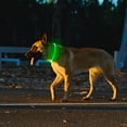 thumbnail image 7 of Miaocao 2 Packs Light Up Dog Collar, LED Dog Collar, USB Rechargeable Dog Lights for Night Walking, Adjustable Glow in The Dark Collars for Small Medium Large Dogs, Waterproof Safety Pets Lights, 7 of 7