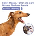 thumbnail image 6 of Pet Breath Freshener for Dogs – Oral Care Spray to Freshen Breath, Control Plaque & Tartar, Prevent Periodontal Disease, No Brushing, Safe & Easy-to-Use, 30ml,Purple,4.25 × 1.10 ", 6 of 9
