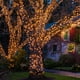 thumbnail image 4 of Luces navideñas HISHINY, 100 unidades, pequeñas, transparentes, 6,4 m, 4 of 5