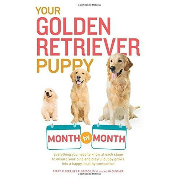 Your Golden Retriever Puppy Month by Month