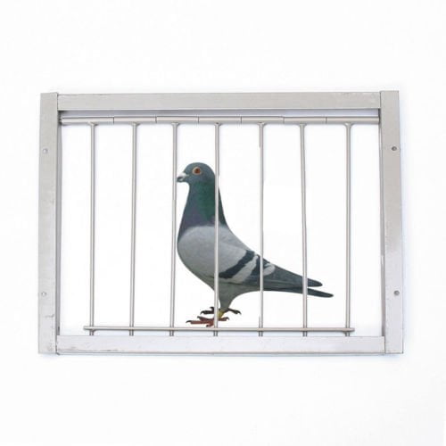 Aimeeli Pigeon Door Wire Bars Frame Entrance Trapping Doors Loft