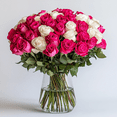 thumbnail image 3 of 50 Stems of Roses: 25 Hot Pink and 25 White- Beautiful Fresh Cut Flowers- Next Day Delivery at Checkout, 3 of 4