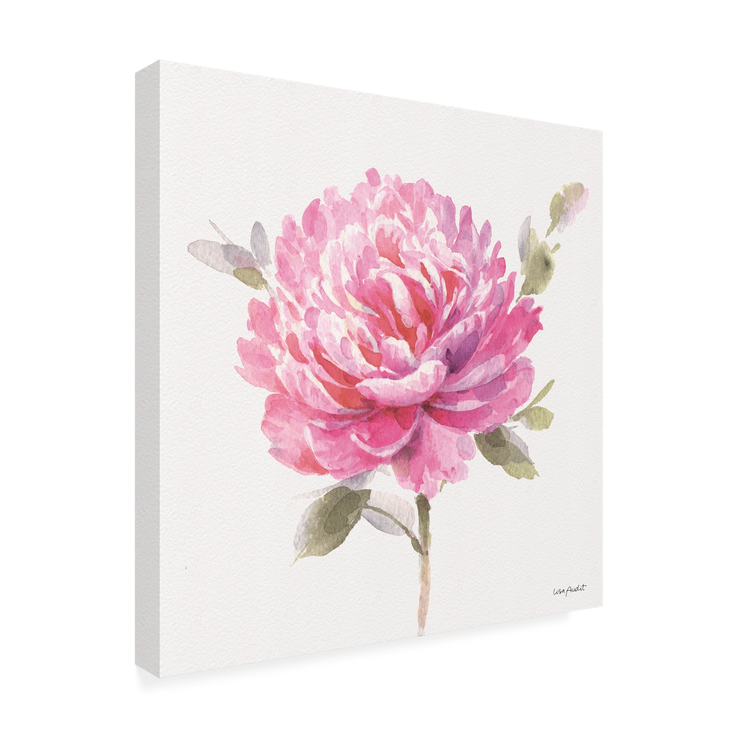Lisa Audit 'Obviously Pink 03' Canvas Art