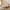 1: Pink, variant on Harper & Bright Designs Twin Size Upholstered Platform Bed with Cloud Shaped Headboard, Velvet Wooden Bed Frame with Wood Slat Support, Beige