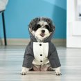 thumbnail image 4 of Waterproof Winter Dog Coat with Harness for Small Breeds, 4 of 4