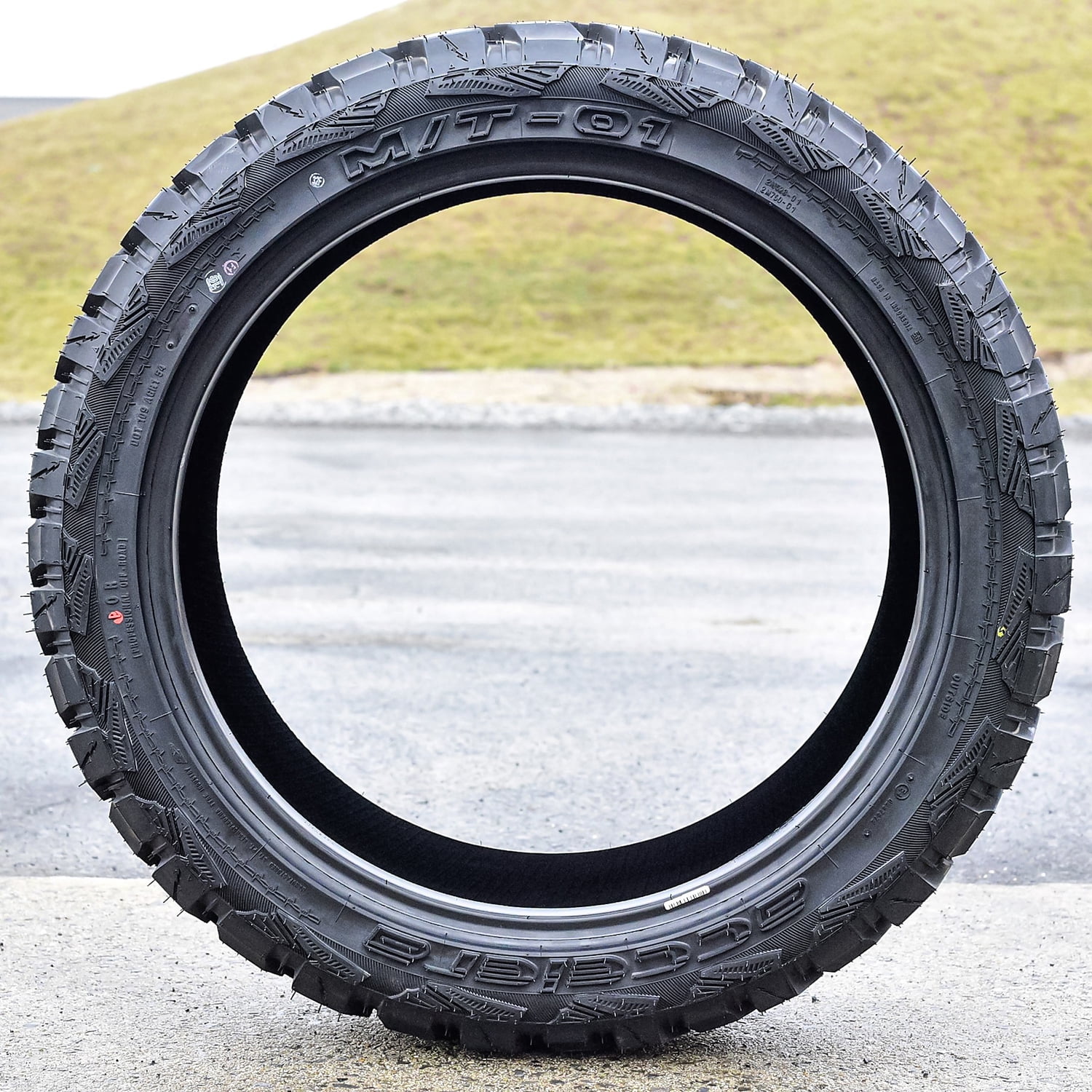 Accelera M/T-01 33X12.50R20 114Q E 10 Ply Mud All-Season Light Truck One Tire