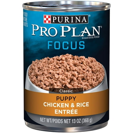 Purina Pro Plan FOCUS Classic Chicken & Rice Entree Wet Puppy Food, Twelve (12) 13 oz. (Best Puppy Food For Labs)