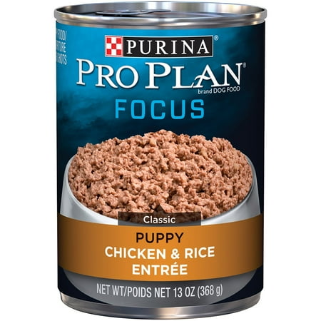 Purina Pro Plan FOCUS Classic Chicken & Rice Entree Wet Puppy Food, Twelve (12) 13 oz. (Best Food For 7 Week Old Puppy)