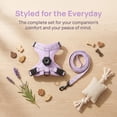thumbnail image 5 of Adjustable Airtag Holder Cat Vest Harness with 1.5M Matching Leash, Escape Proof Reflective Pet Chest Harness for Kittens & Small Cats 3 to 8 Pounds Outdoor Walking, 5 of 7
