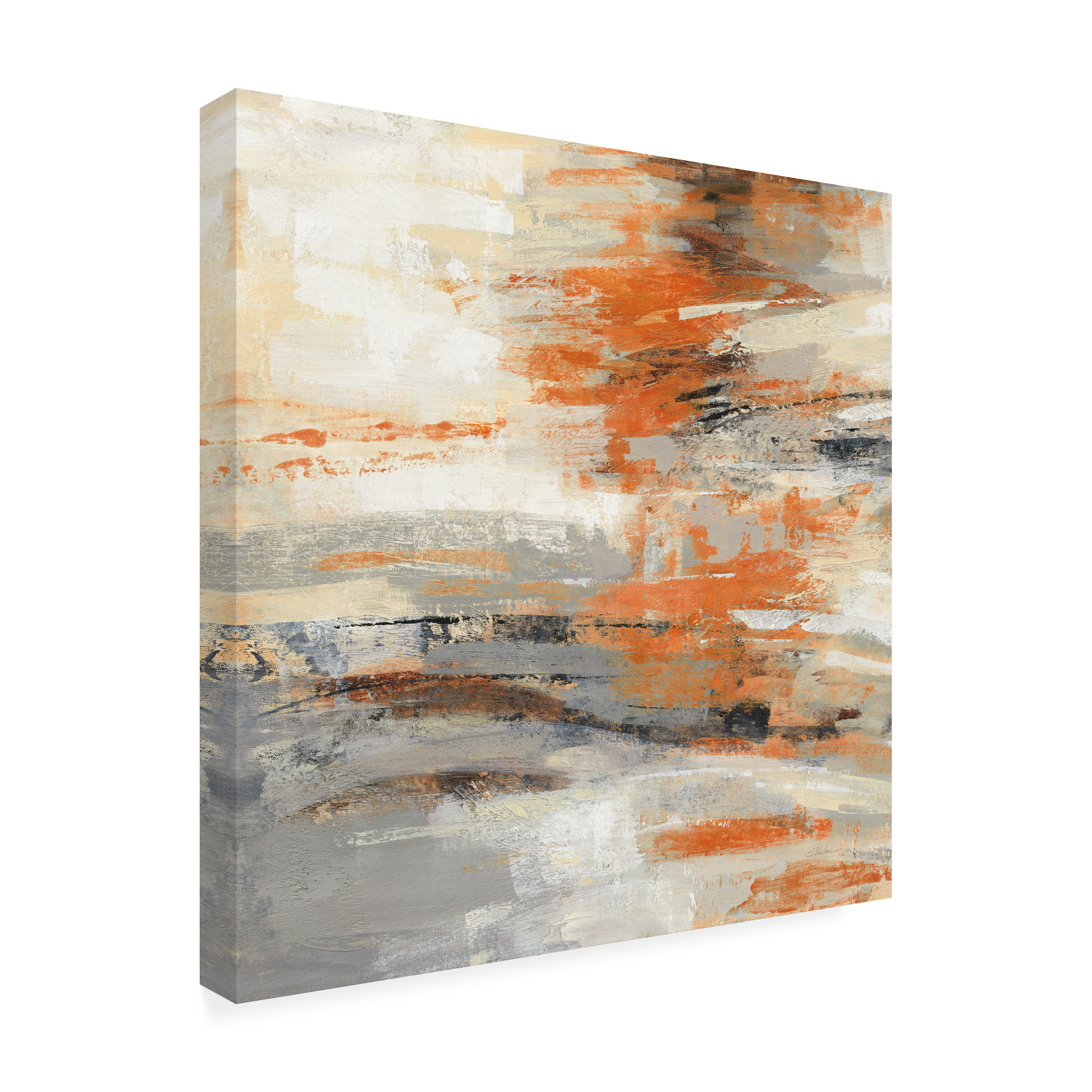 Trademark Fine Art 'Golden Dust Crop Orange' Canvas Art by Silvia Vassileva