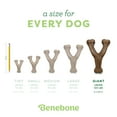 thumbnail image 6 of Benebone Wishbone Durable Dog Chew Toy for Aggressive Chewers, Real Bacon, Giant, 6 of 9