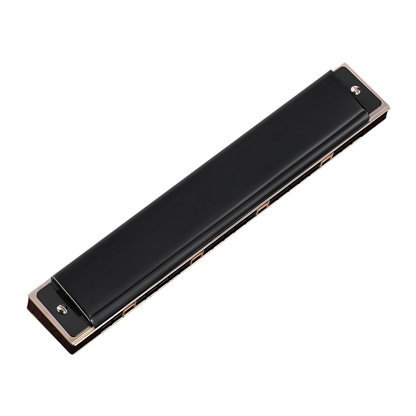 HGYCPP 24-Hole Tremolo Harmonica Performance Competition Mouth Organ with Hard for Case, for Key of C for Beginners & Adults
