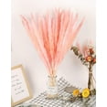 thumbnail image 5 of Coolmade 45-Piece, 17" Earth Cocoa Pink Boho Decor for Dried Pampas Grass, 5 of 7
