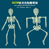 Booraho Luminous Scary Full Body Skeleton Human Anatomy Model Halloween Decoration