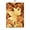 C, variant on Modern Autumn Fall Leaves Maple Leaf Pumpkin Book Wall Art Canvas Painting Poster Printable Wall HD Picture for Living Room Home50 x 70 cm (without frame),F