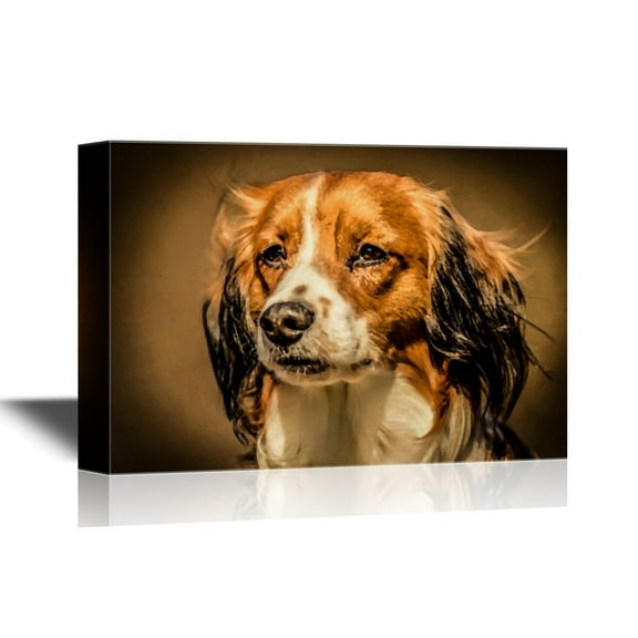 wall26 - Dogs Breeds Canvas Wall Art - A Purebred Kooikerhondje Dog - Gallery Wrap Modern Home Art | Ready to Hang - 16x24 inches