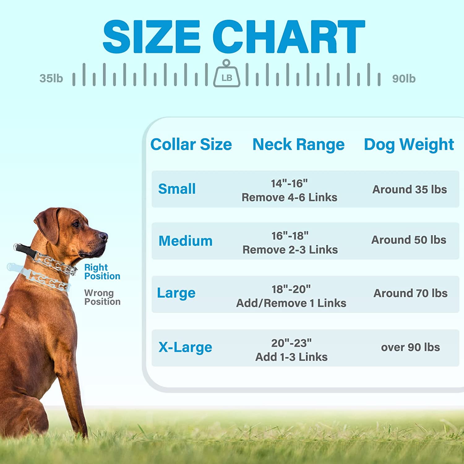 Proper Fit On A Dog How Long To Use Prong Collar Pinch Collar For - Main Image