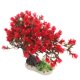 thumbnail image 1 of BESTYASH Planta Plástica Roja Para De Peces Con Y Base Reforzada Decorativa, 1 of 6