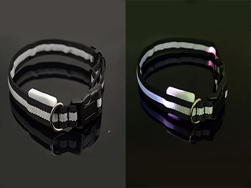 luminous cat collar
