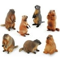 thumbnail image 2 of OUTOP Realistic Forest Animal Model Ornaments Simulation Marmot Action Figure Toys For Children Gifts Table Decoration, 2 of 8