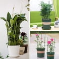 thumbnail image 5 of 1PCS Adjustable Tomato Cages, Plant Support Garden Cages for Tomatoes, Cucumbers, Vegetables, Flowers, Roses & Climbing Vines Adjustable Rings for Sturdy Growth, 5 of 5