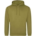 thumbnail image 1 of Awdis  Adult College Hoodie, 1 of 2