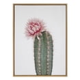 thumbnail image 2 of Kate and Laurel Sylvie Pink Cactus Flower Framed Canvas Wall Art by Amy Peterson Art Studio, 28x38 Natural, Desert Cactus Floral Photo Art for Wall, 2 of 6