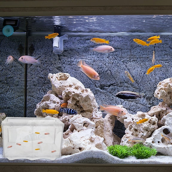 Soimiss 2Pack Fry Incubator Plastic White for Clear Observation of Fish Development