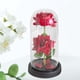thumbnail image 1 of Regalos del día de San Valentín para ella Flor preservada para el aniversario del Día de la Madre Mamá rojo con base negra, 1 of 8