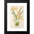thumbnail image 2 of Charles Antoine Lemaire 11x14 Black Modern Framed Museum Art Print Titled - Odontoglossum Wallisii (1854-1896), 2 of 5