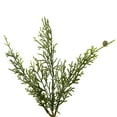 thumbnail image 4 of Vickerman 75" Artificial Cedar Garland., 4 of 4
