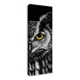thumbnail image 2 of Creative Products Creepy Halloween Owl Dark 2 12x36 Canvas Wall Art, 2 of 5