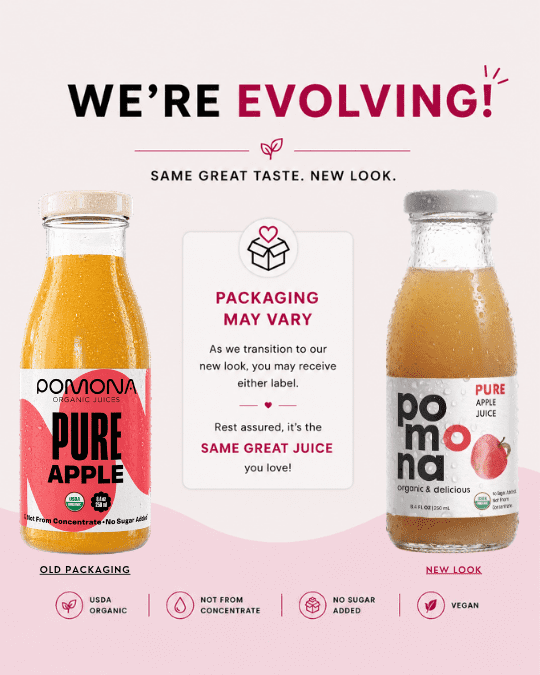 Pomona Organic Juices Apple Juice, 8.4 oz, 12-Pack