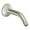 Silver, variant on Moen CL10154 6 in. Shower Arm and Flange in Polished Chrome