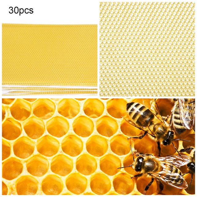 Cera de panal herramientas de apicultor cera de abejas color amarillo para Extractor de miel al aire libre ANGGREK Otros