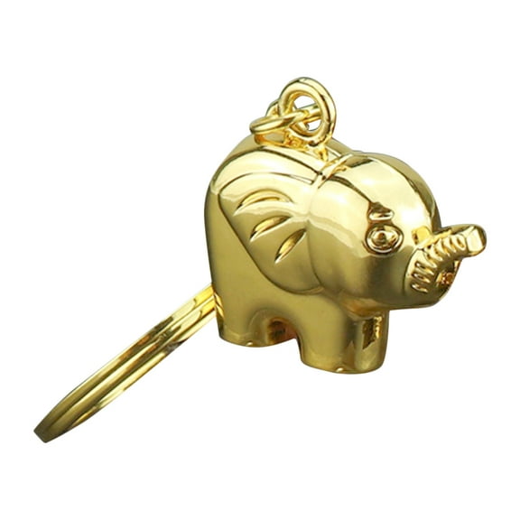 unbranded  Chain Carabiner Keychain Decoration Travel Lovers