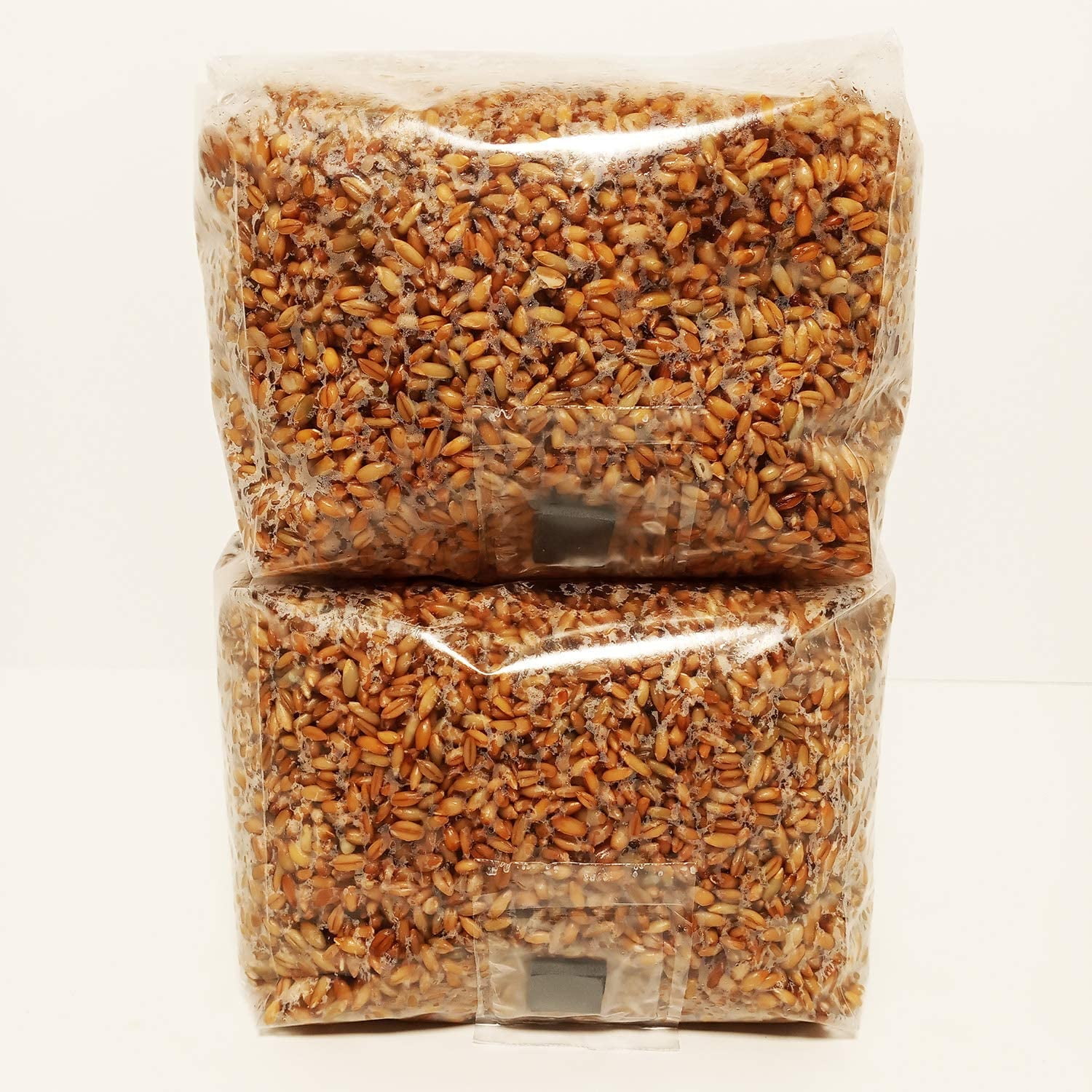 Liquid Fungi 2 x 3 lb. Sterilized Rye Berry Mushroom Substrate in Unicorn Bags with Injection ...