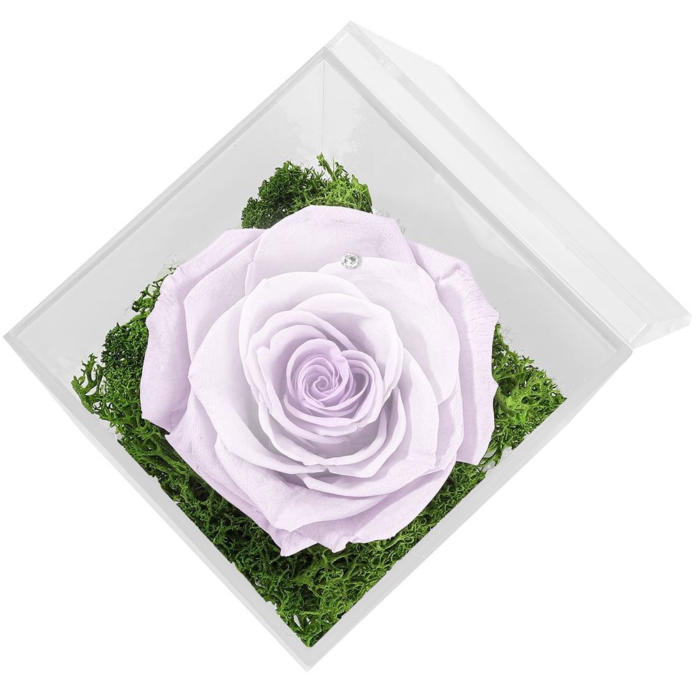 Clear Ice Mold Cut Bank Florist - Rose Petal Floral and Gift