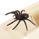 thumbnail image 2 of Trick Spider Funny Scare Box Wooden Hidden Box Quality Prank Wooden Scare Box Fun Game Prank Trick Friend Office Toys, 2 of 5