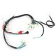 thumbnail image 1 of Engine Start Wire Wiring Harness Loom for 50cc 110cc 125cc PIT Quad Dirt Bike ATV EU Plug, 1 of 5