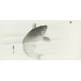 thumbnail image 2 of Koson, Ohara 24x14 Gold Ornate Wood Framed with Double Matting Museum Art Print Titled - Carp and fly, 2 of 4