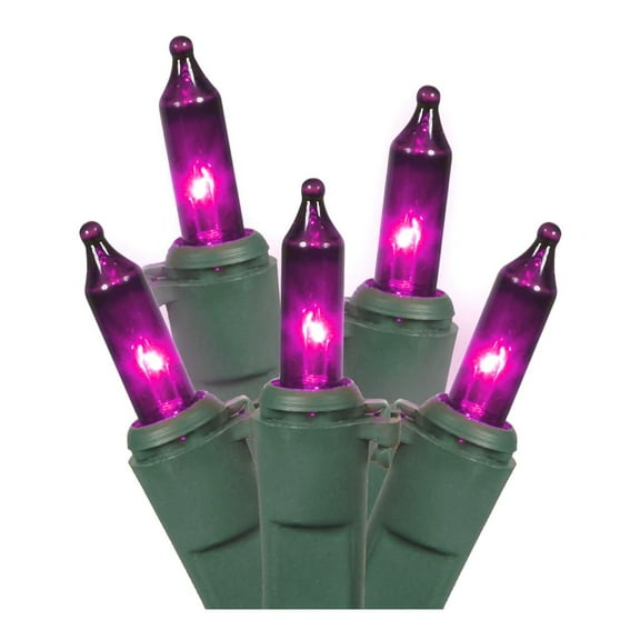 Vickerman 12007 - 100 Light 46' Miniature Green Wire Purple Christmas Light String Set with 5.5" Spacing (W5G0916)