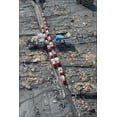 thumbnail image 1 of 24"x36" Gallery Poster, fire engine trucks staging Sukuiso Japan following tohoku tsunami, 1 of 1