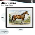thumbnail image 4 of Stupell Industries Rustic Lodge Majestic Horse in Pastoral Landscape Black Framed Print Under Glass, 20 x 14, by Creative Studio, 4 of 8