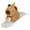 Style2, variant on T-HOTLYST Capybara Plush Bracelet Toy for Kids Birthday Gift Wristband Stuffed Animals Adorkable Capybara Fun Birthday Gift