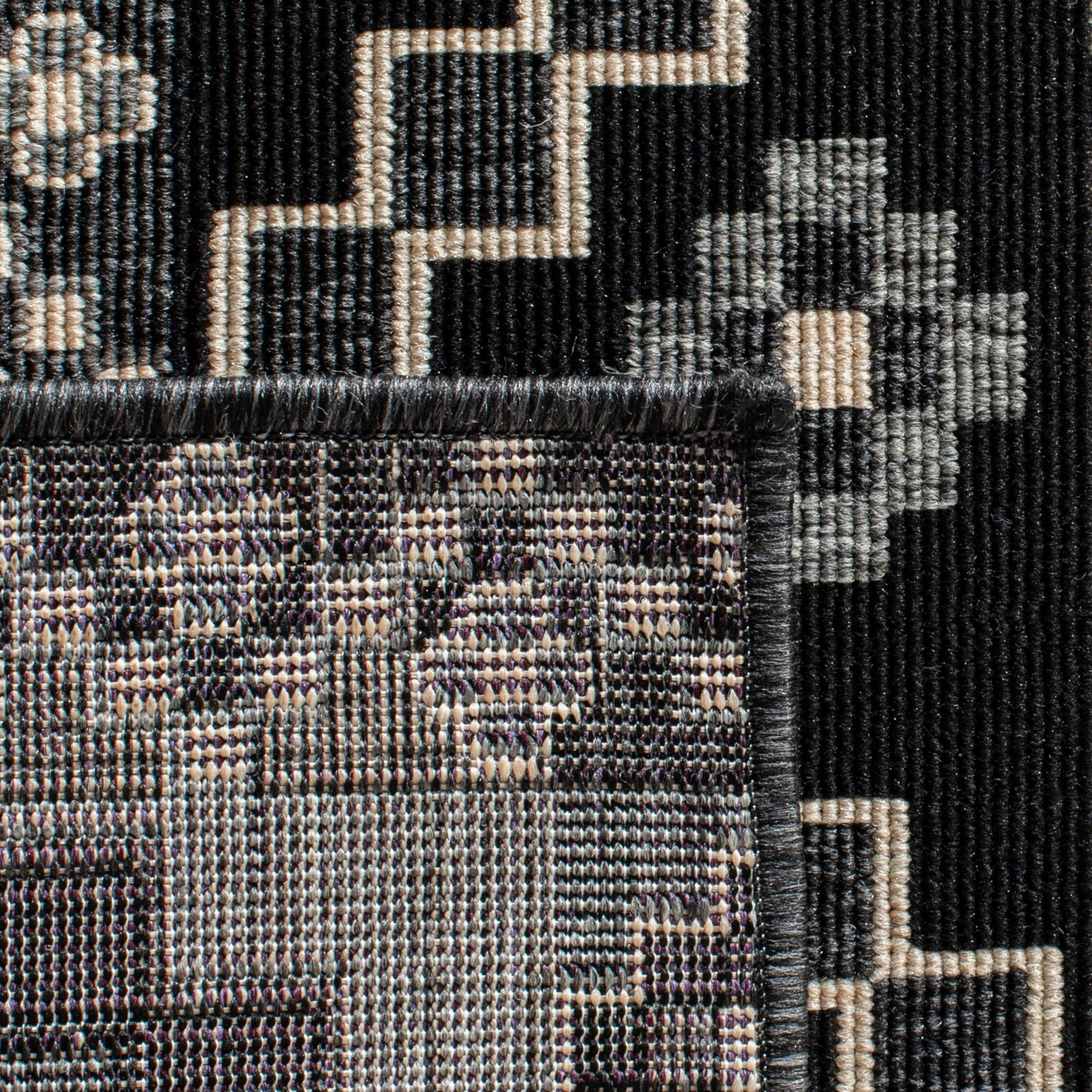 SAFAVIEH Veranda Luwig Southwestern Indoor/Outdoor Area Rug, 8' x 11', Black/Beige