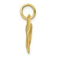 thumbnail image 2 of FB Jewels 10K Yellow Gold Heart Charm, 2 of 3