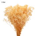 thumbnail image 3 of Dried Baby's Breath Flower 17 Inch White Natural Baby's Breath Branches for Wedding Party Home Decoration 3 Pcs, 3 of 6